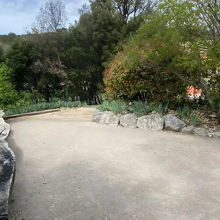 Lavandin 2 *