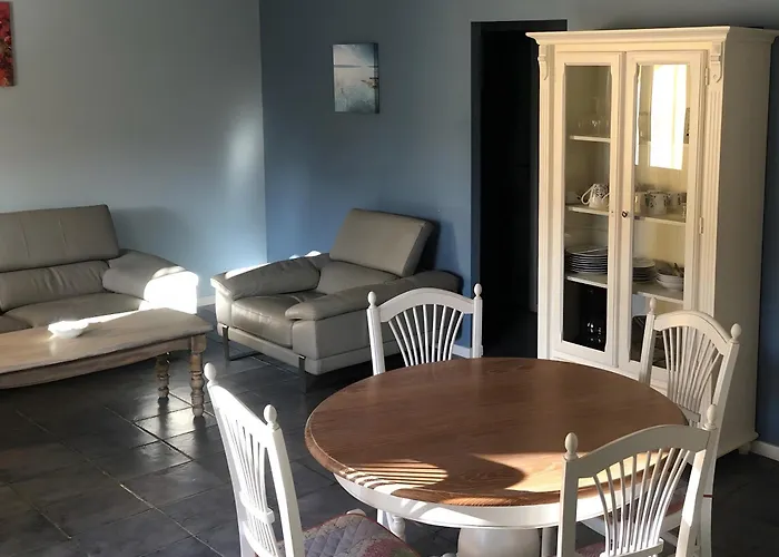 Lavandin 2 Allemagne-en-Provence