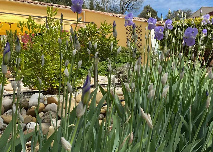 Lavandin 2 * Allemagne-en-Provence